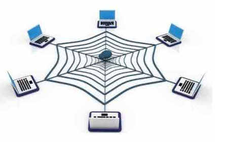 SEO蜘蛛精是推动网站排名的关键要素！